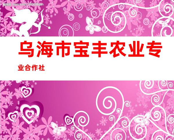 乌海市宝丰农业专业合作社