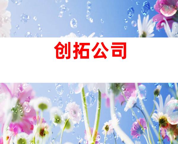 创拓公司